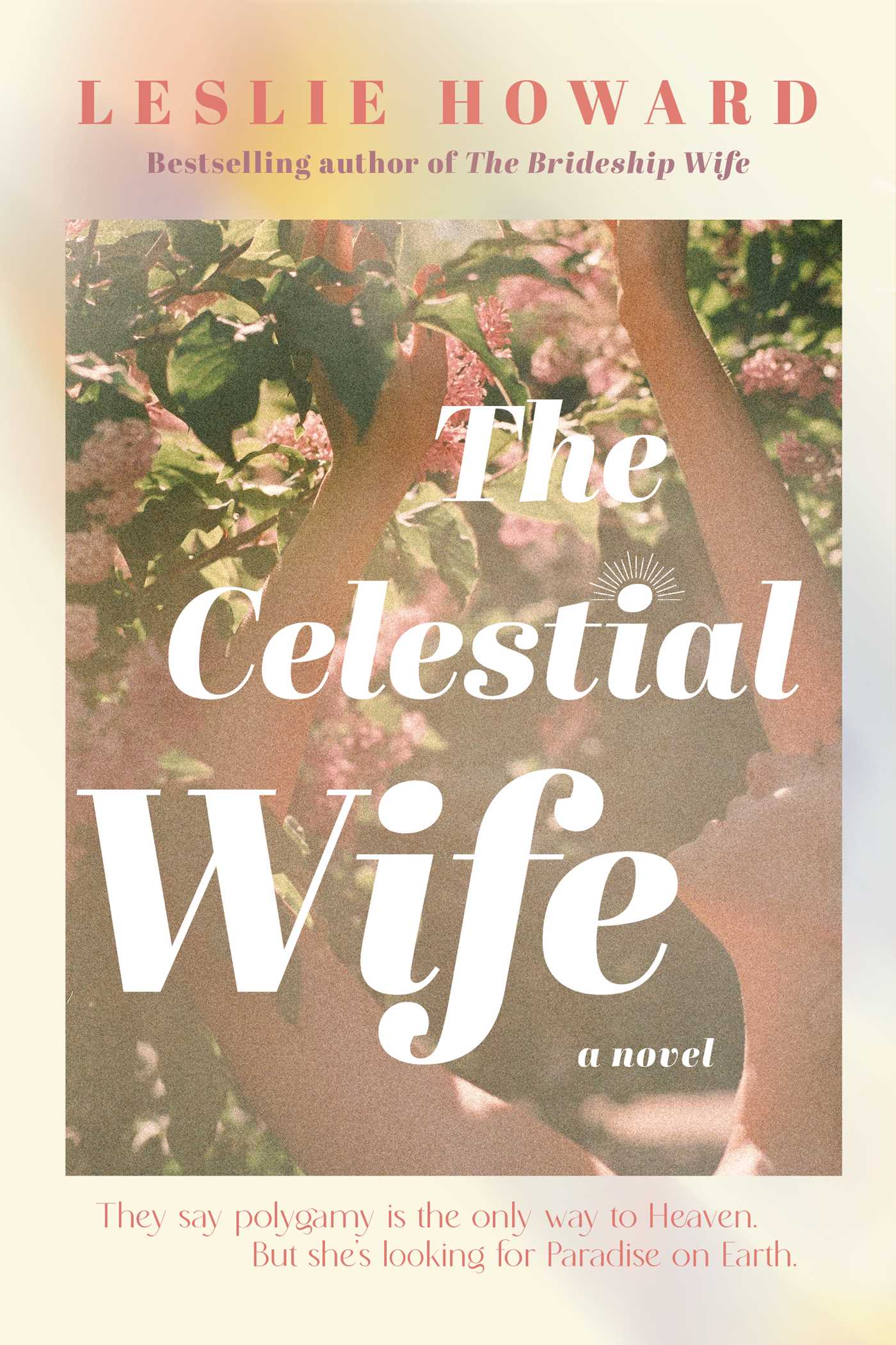 The Celestial Wife cover